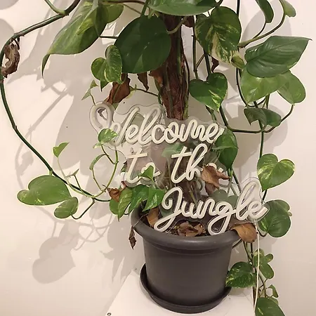 Appartamento Workation Jungle 4 Personen, Waschmaschine, Zentral, Taunus, Boxspringbetten Kelkheim